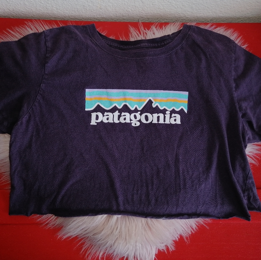 Patagonia Women's Crop Top sz S